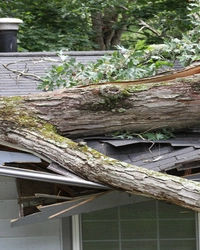 Storm Damage and Restoration